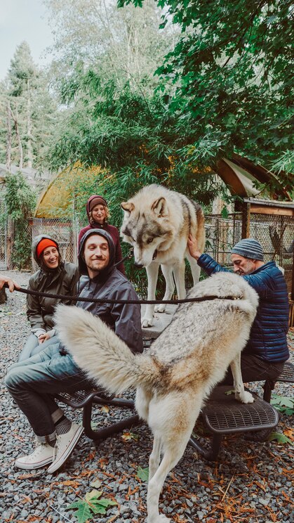 Показать полноэкранное фото от хозяина