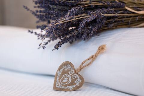 provenzale a Lignano