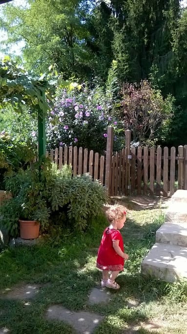 Il nostro giardino