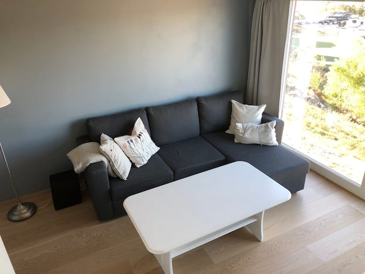 TV-stue/soverom 4. Sovesofa.