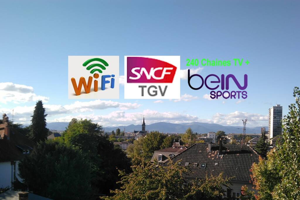 Placé au Bas du Rebberg dans les hauteurs de Mulhouse, Vous découvrirez par beau temps une vue sur la ville de Mulhouse ainsi que sur les Vosges à 25 kms...