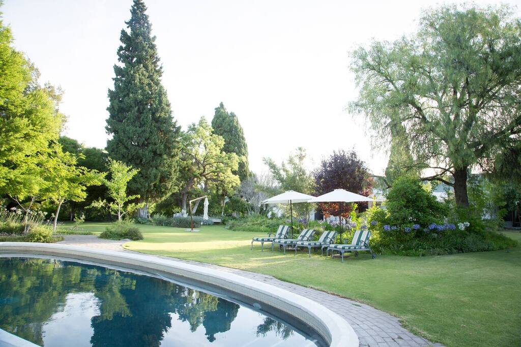 Swimming Pool area