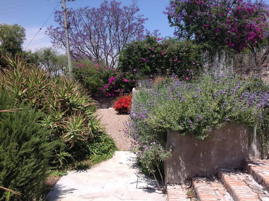 Garden Area