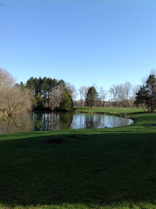 Enjoy watching the wildlife on the pond.