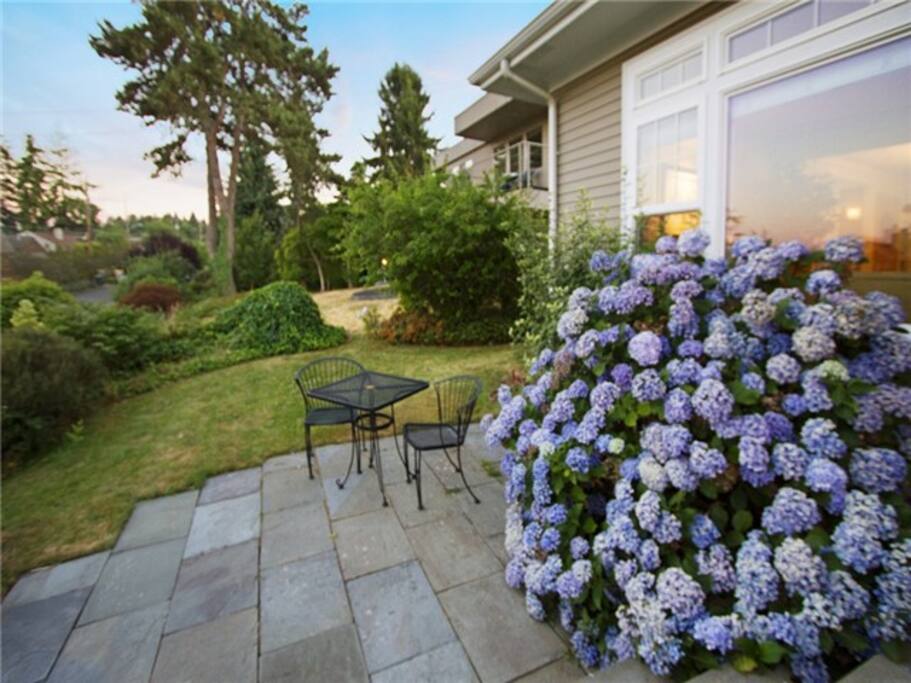 Front Yard