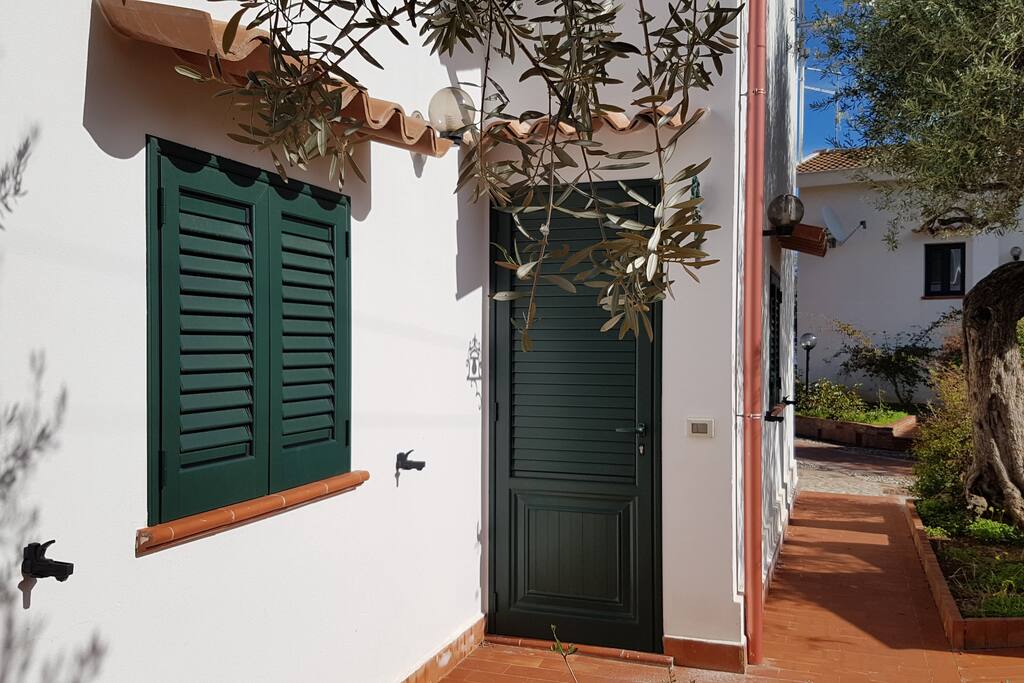 ingresso