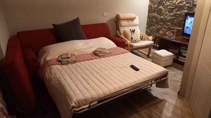 Chumba chini na kitanda cha sofa