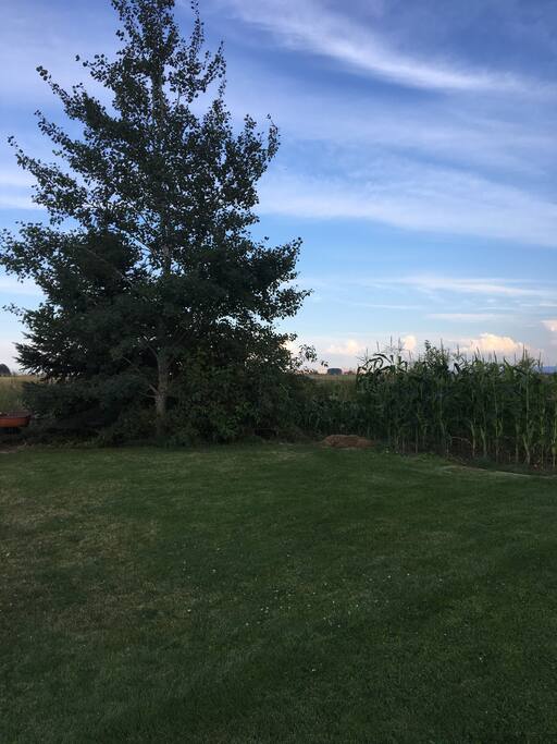 Nice flat lawn