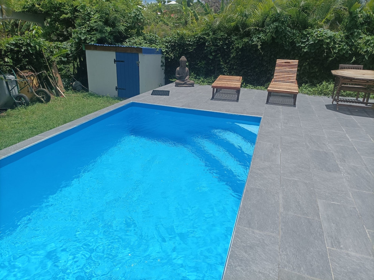 A private swimming pool is centered in the yard, surrounded by smooth gray tiles. Alongside the pool, two wooden lounge chairs are positioned for relaxation. A storage shed, painted in blue and white, is located in the background among lush greenery.