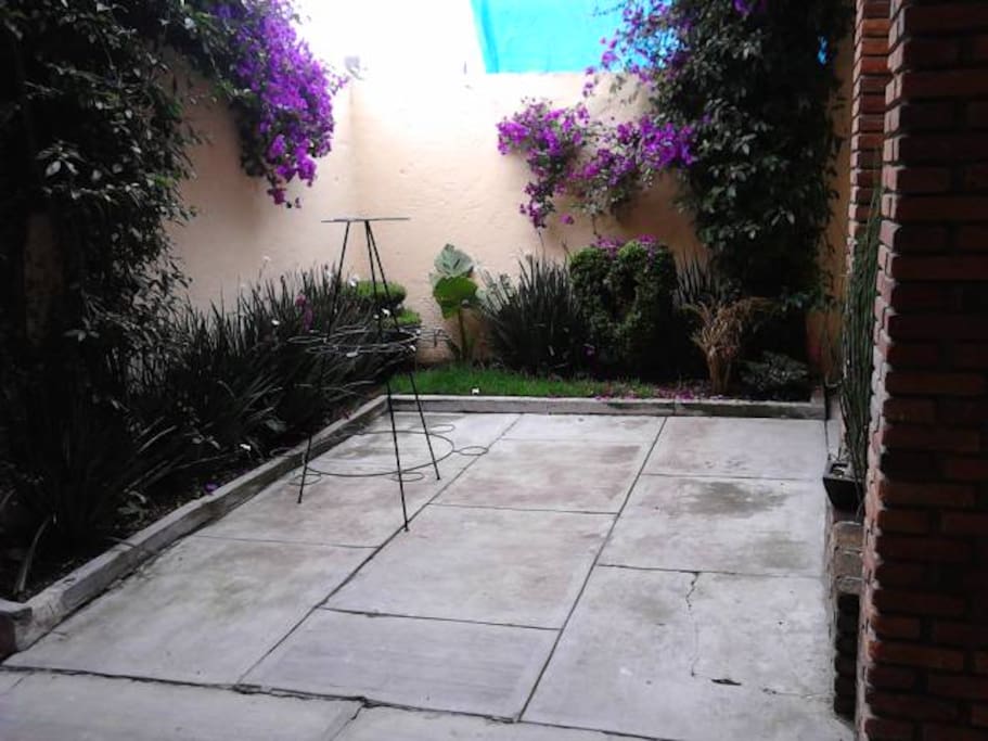 Courtyard/Patio