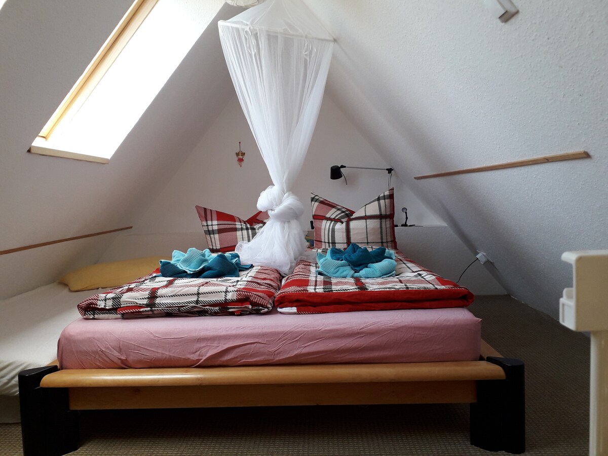 גלריית שינה