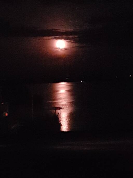 The night sky over the river