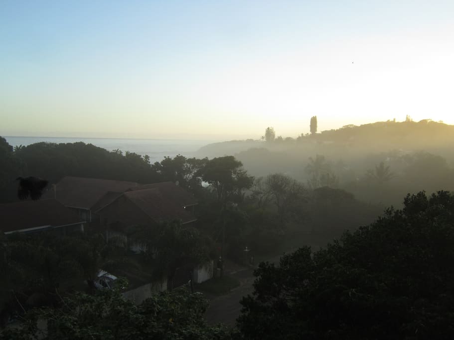 Misty morning view