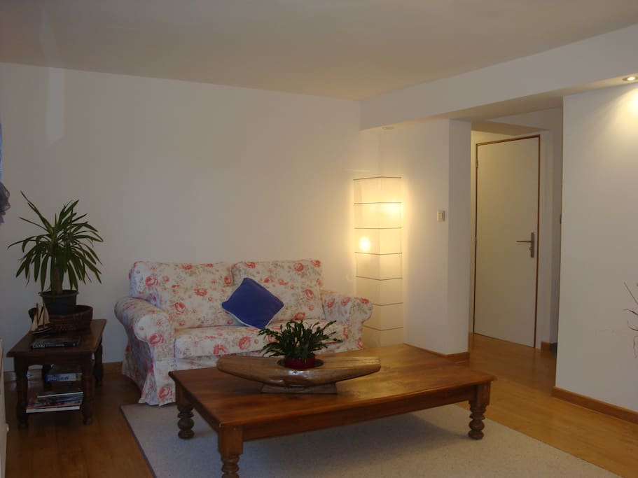 living room and hallway to left leads to bedroom and bathroom and to the right is the kitchen