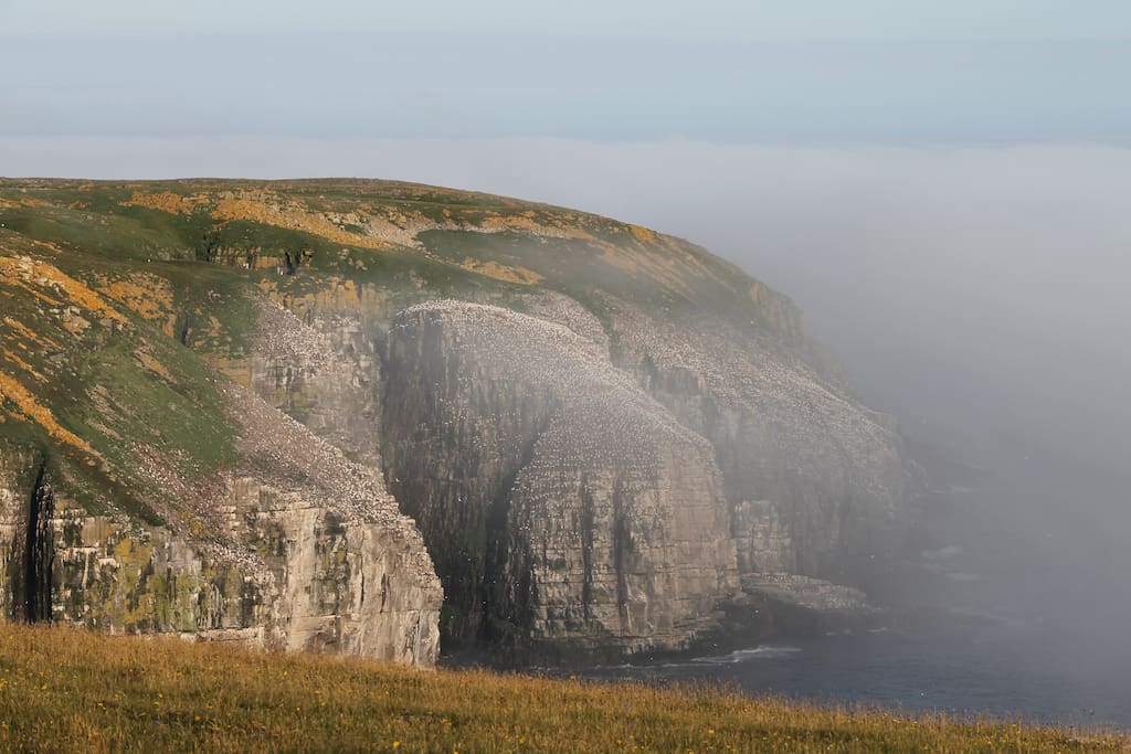 We're just 20 minutes away from magical Cape St. Mary's