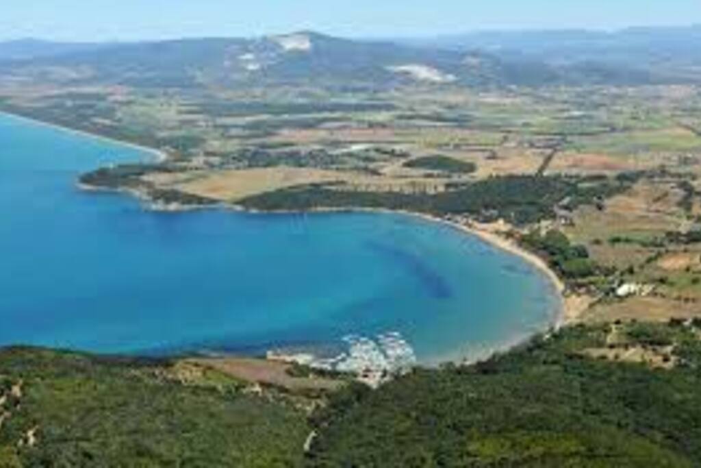 baratti
