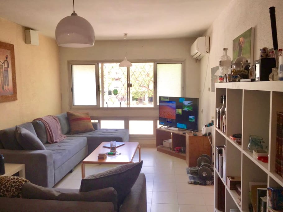Large living room with a full wall of windows, lots of natural night, 49" smart television with AppleTV.