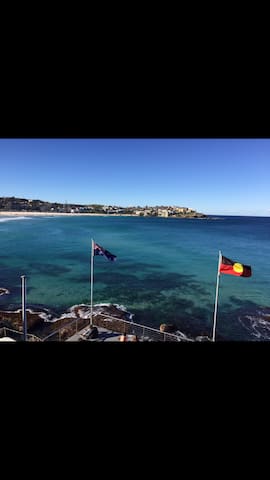 The North Bondi Beachshack