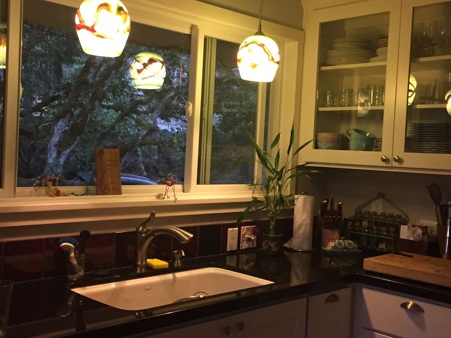 Galley Kitchen, you can see wild turkeys in the yard from this window:)