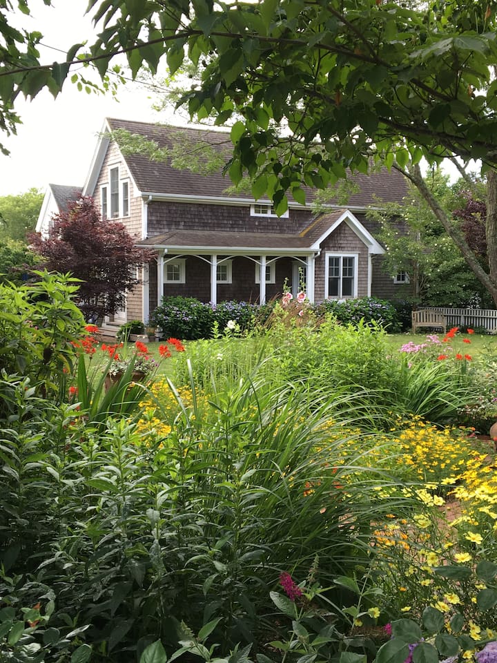 Image of Airbnb rental in Martha's Vineyard