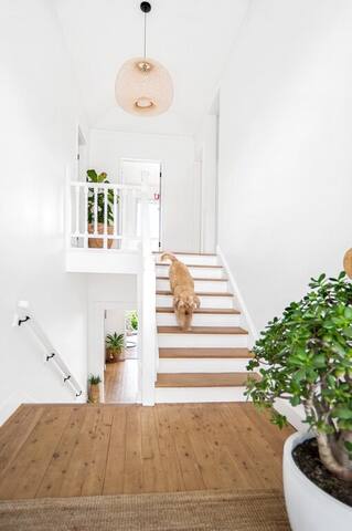 Panoramic views, Collaroy beach escape gallery image 5