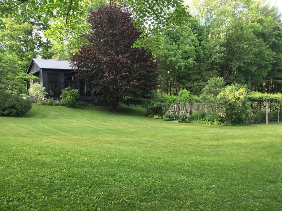 South view from garden
