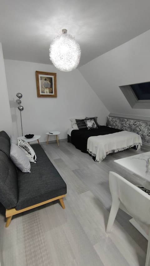 Studio with free parking in a residential area