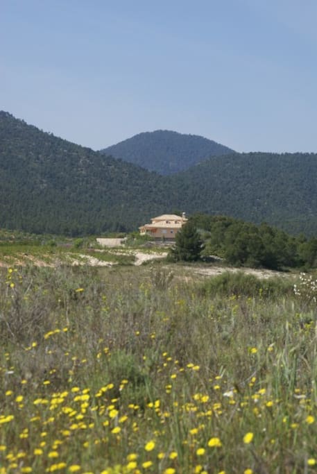 Entre montañas
