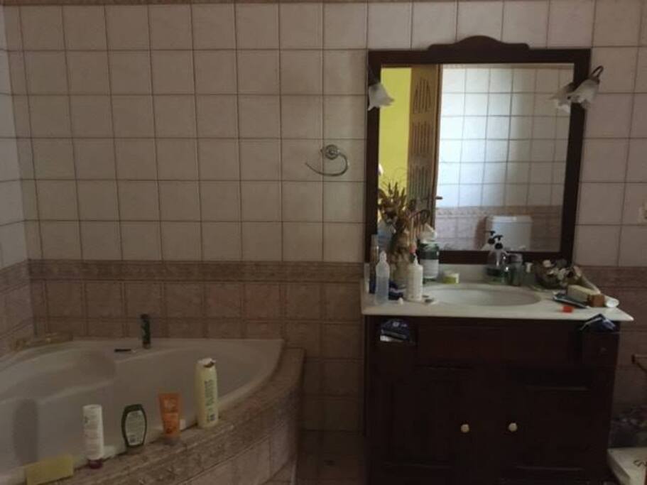 One of the three bathrooms