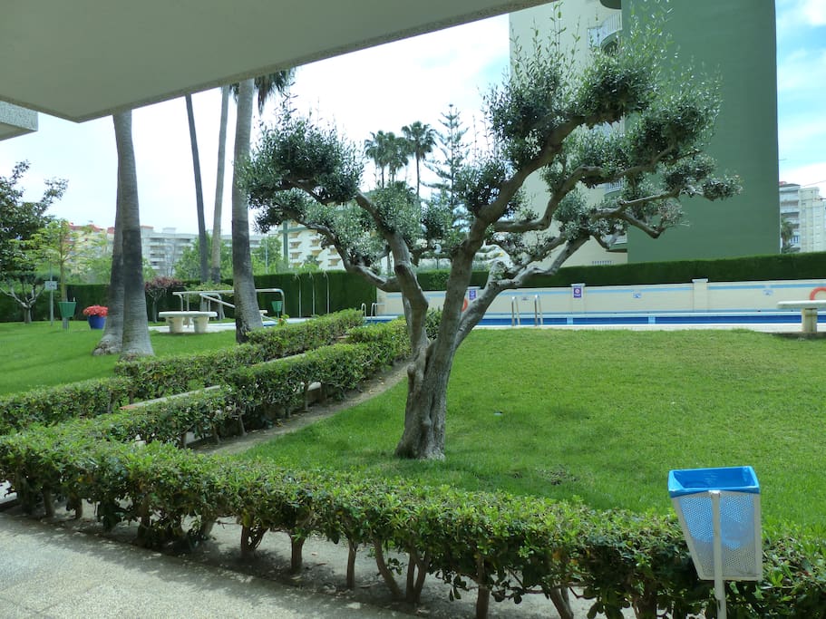 Vista del jardín desde el portal de entrada a la finca.