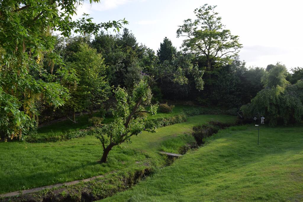 Our Garden