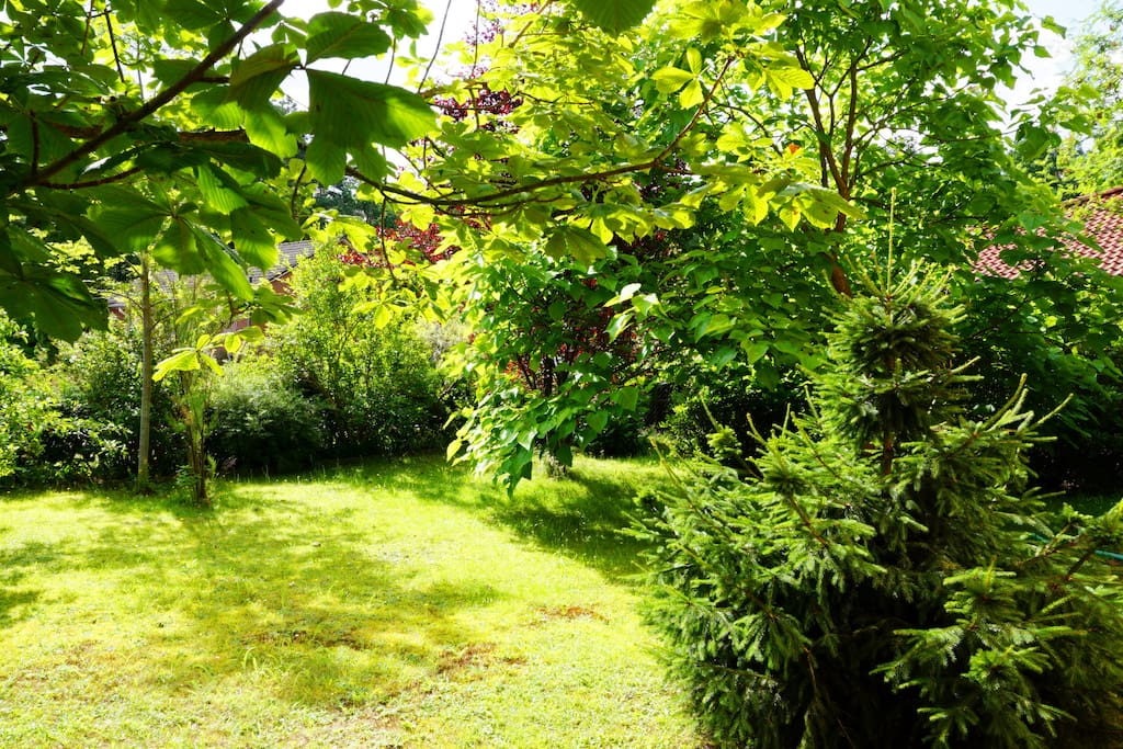 kleiner Garten