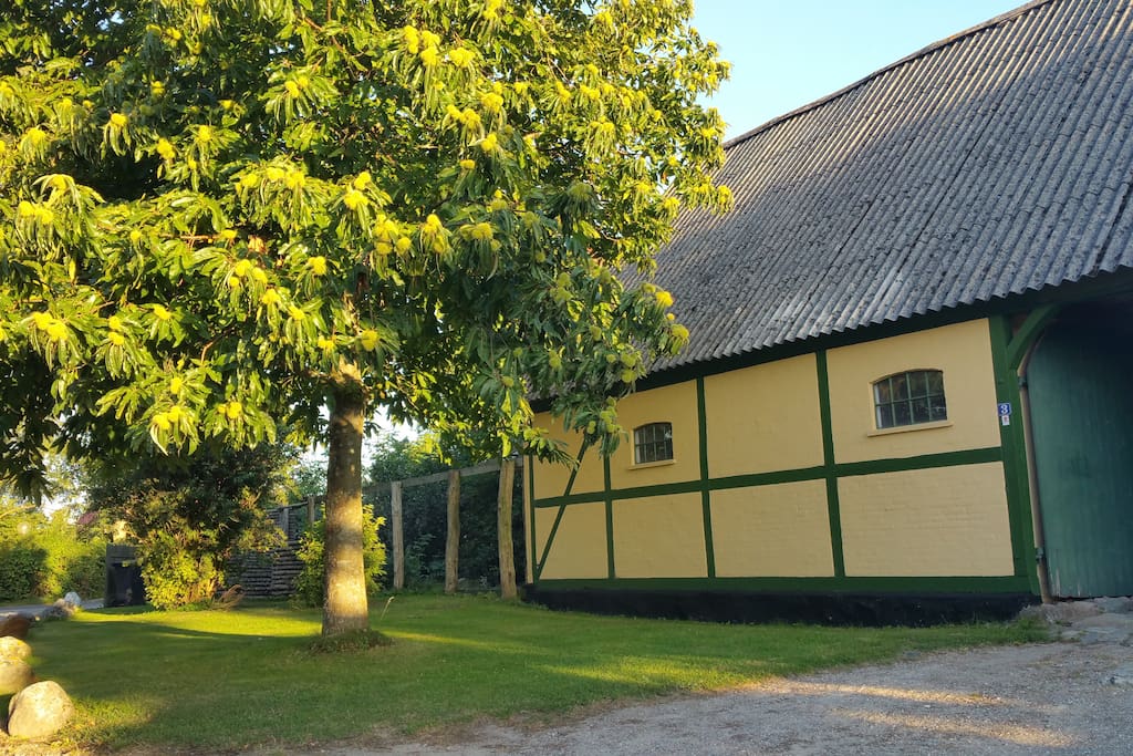Indkørsel til gården