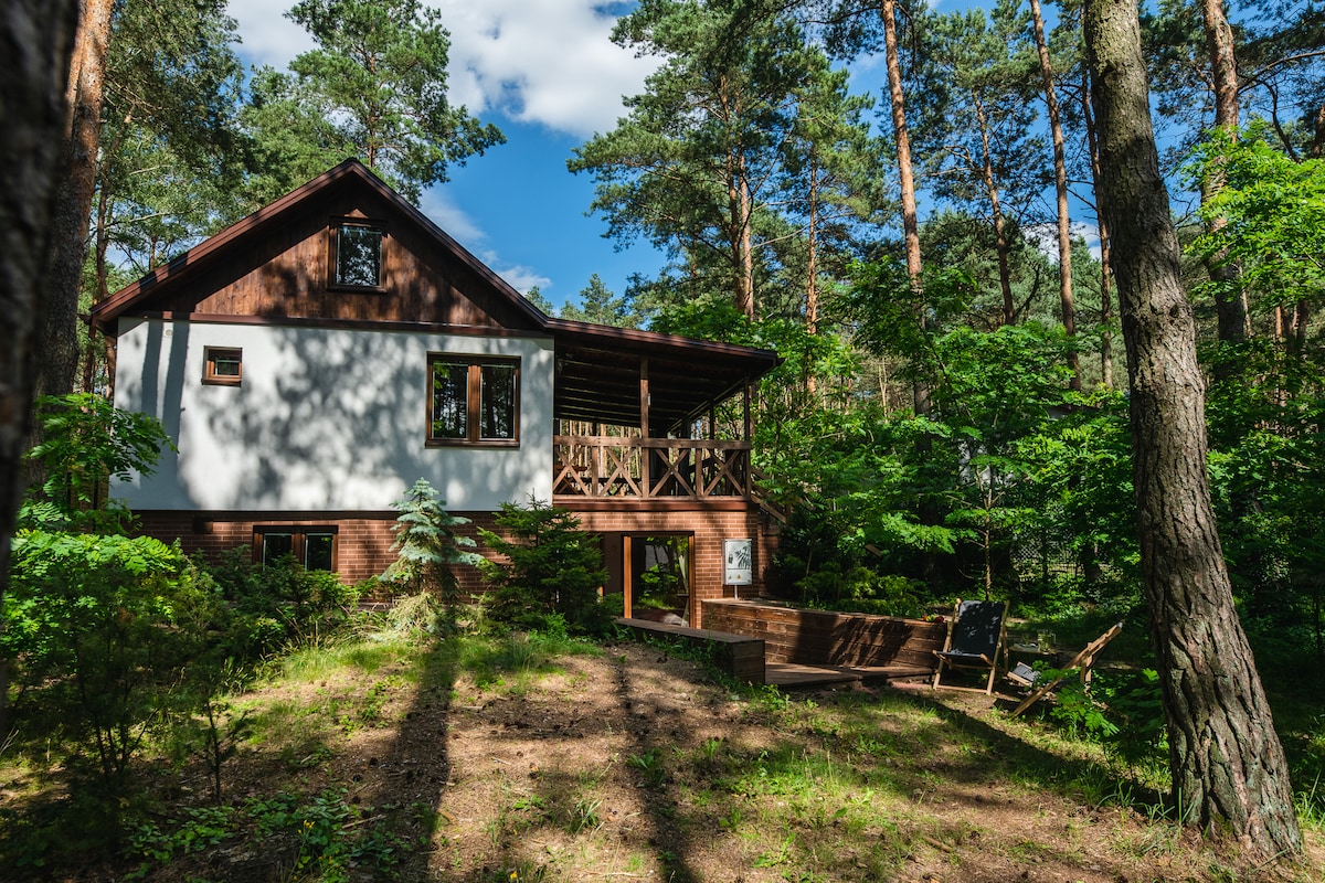 A three-level house is surrounded by lush greenery and tall trees, providing a natural retreat. The house features a large covered terrace, blending harmoniously with the forested setting. Sunlight casts gentle shadows on the ground, highlighting the tranquility of the outdoor space.