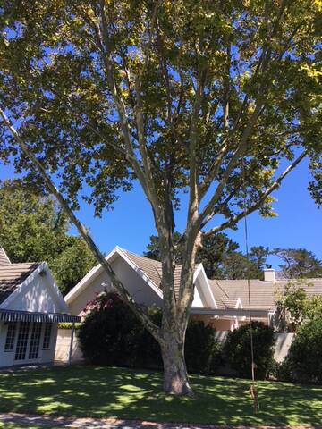 LYNNWOOD COTTAGE gallery image 2