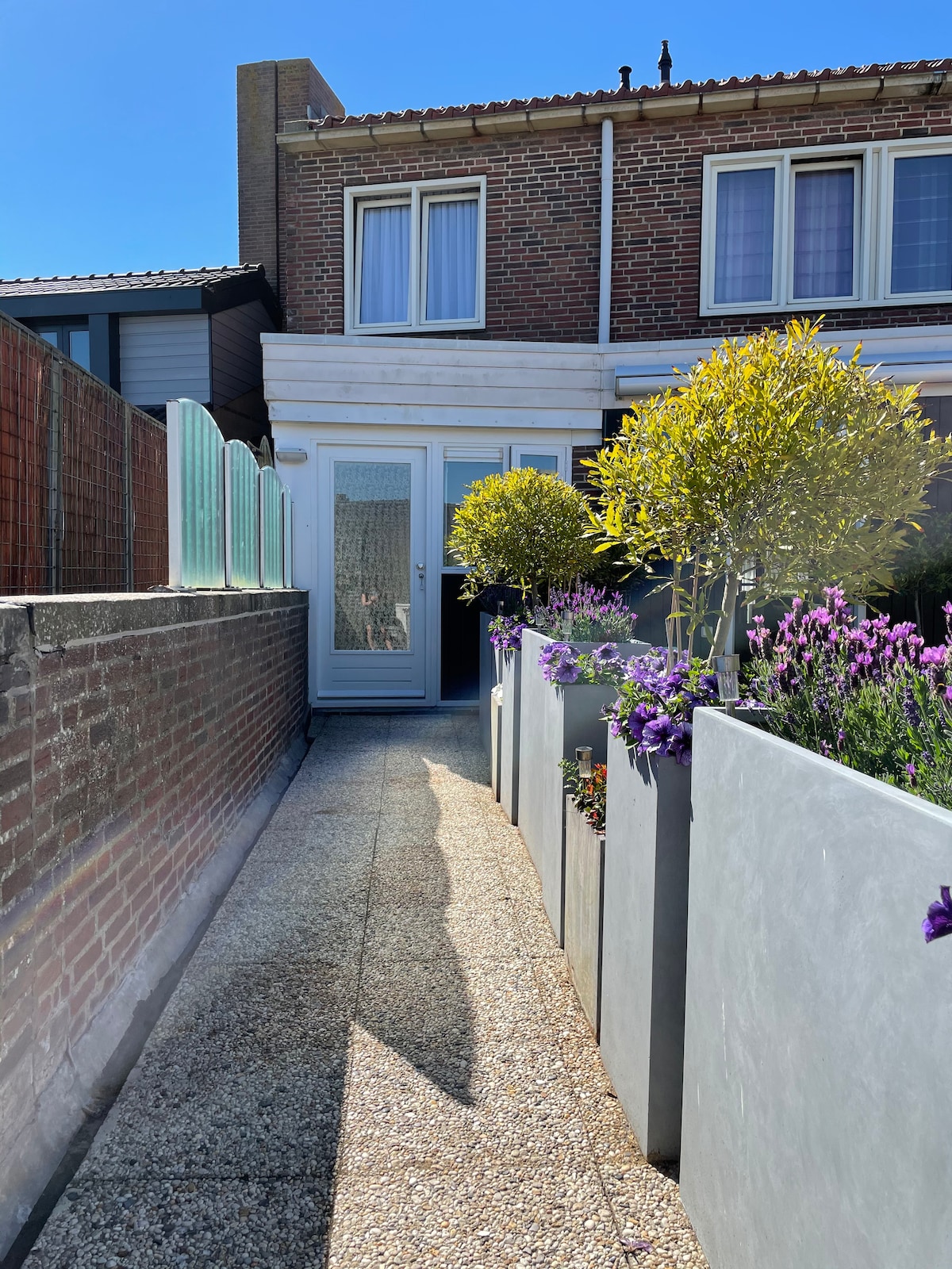 A narrow walkway lined with vibrant purple flowers leads to a glass door entrance. The path features a textured surface, with a wall of light-colored brick on one side and a smooth gray partition on the other. Bright sunlight creates clear shadows on the ground.