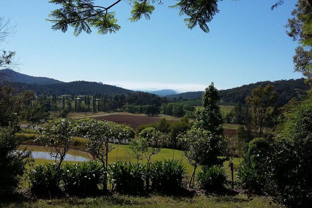 The view from the house