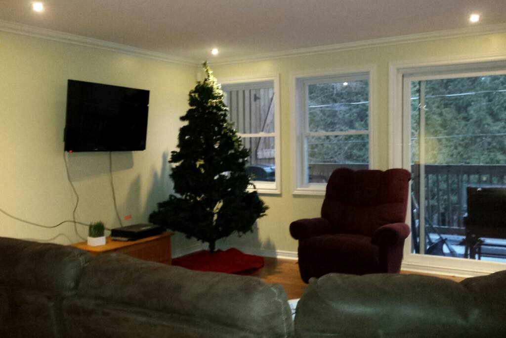 Living room with Christmas tree