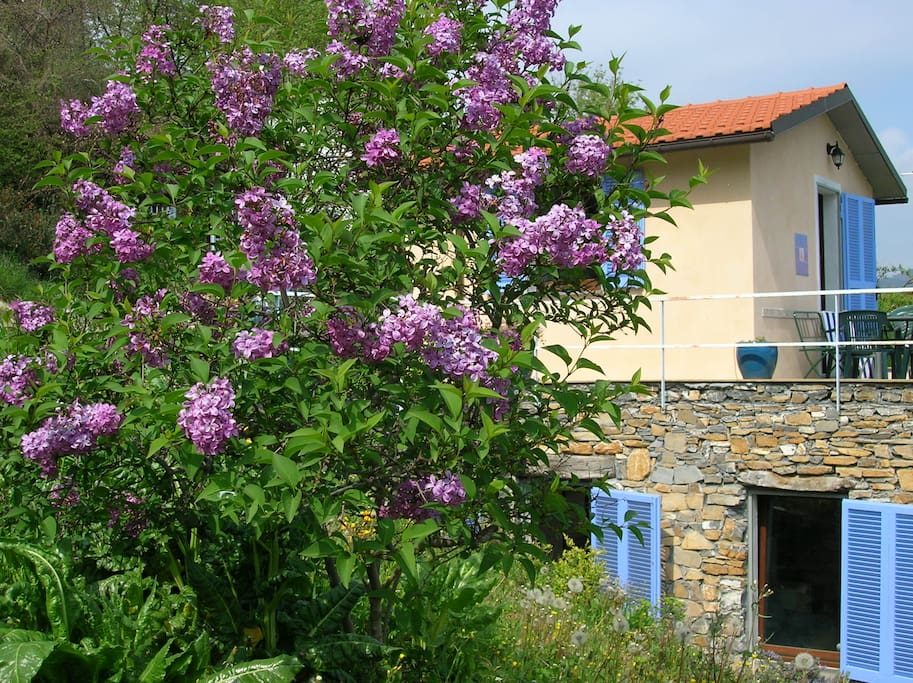 Vista dal giardino