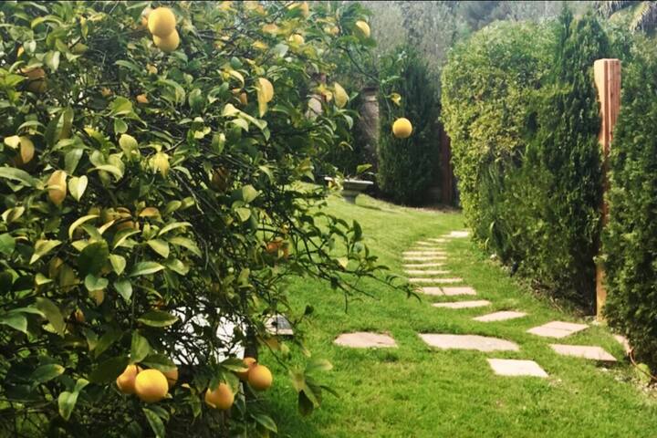 Views, style, space.. why Italy? gallery image 2