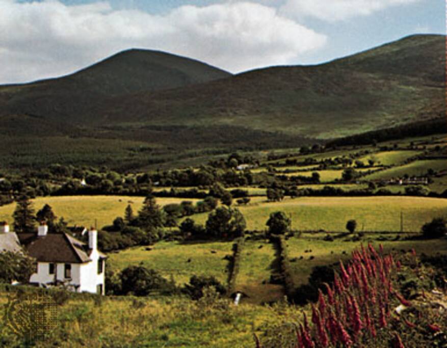 View of Mourne Mountains (Front)