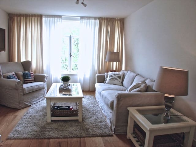 Stylish Canal House B