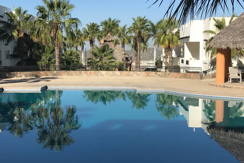 Singles in cabo san lucas