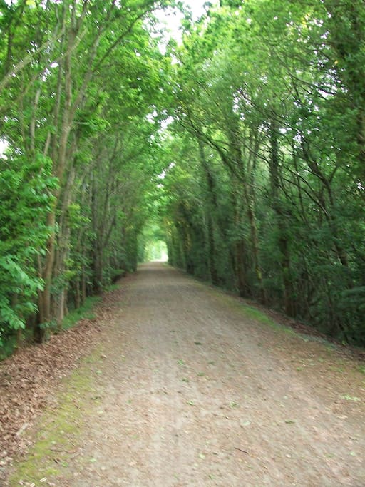 Chemin vert, to the rear of the house. Easy walking with few disturbances.