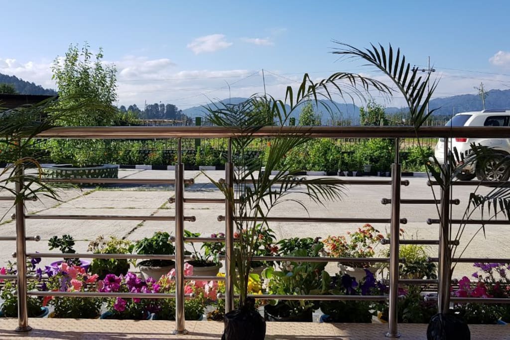 View from the main porch