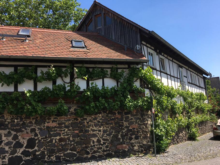 Historische Hofreite