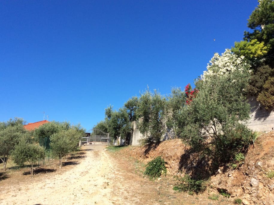 La rampa di accesso all'alloggio