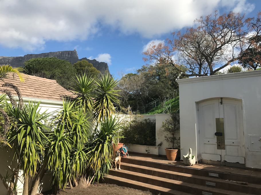Front garden with views of table mountain and Lions head