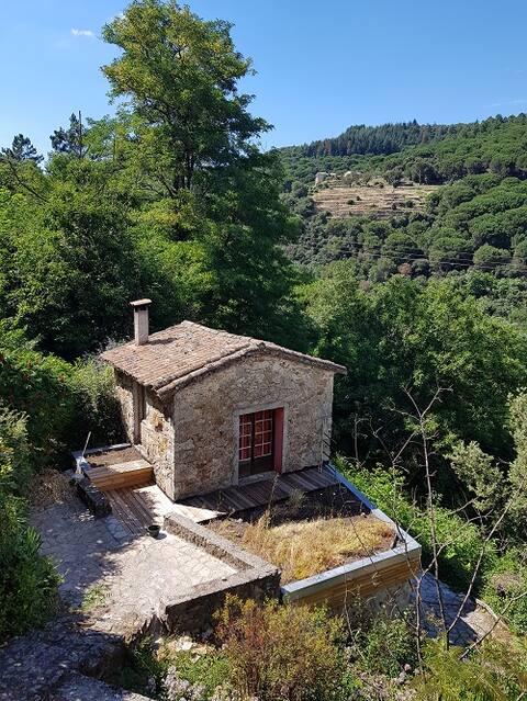 Small nature cottage in Cevennes - Lasalle