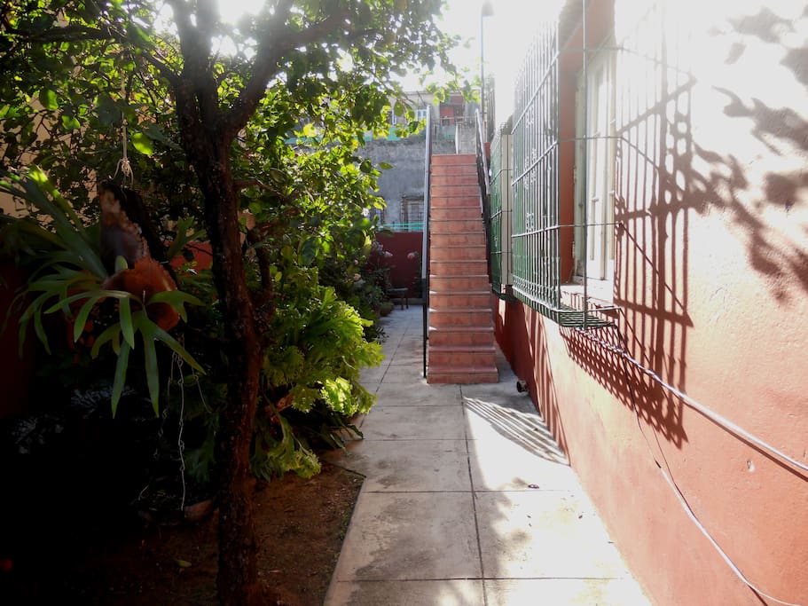 Entrada independiente con jardín